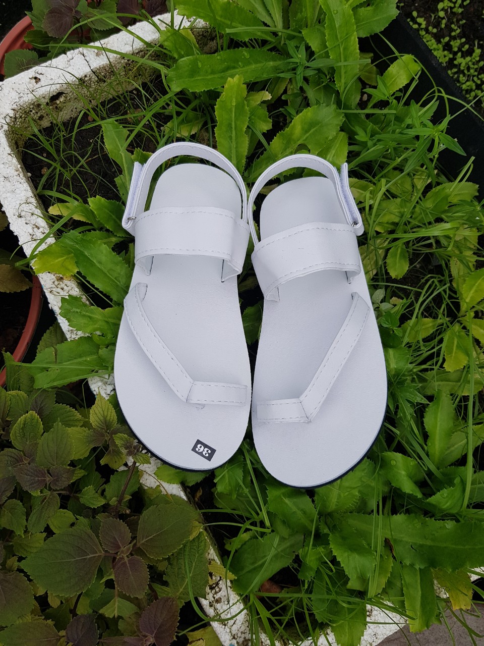 Sandal nam và nữ đế trắng quai trắng size từ 34 đến 42 đủ màu đủ size