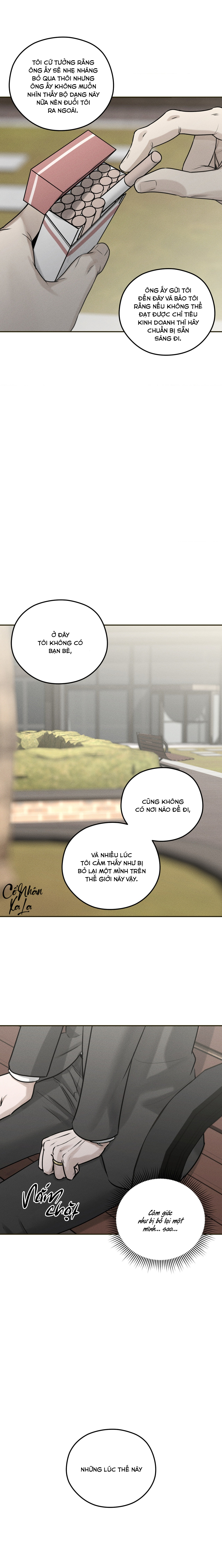 dear teddy bear chapter 11 14