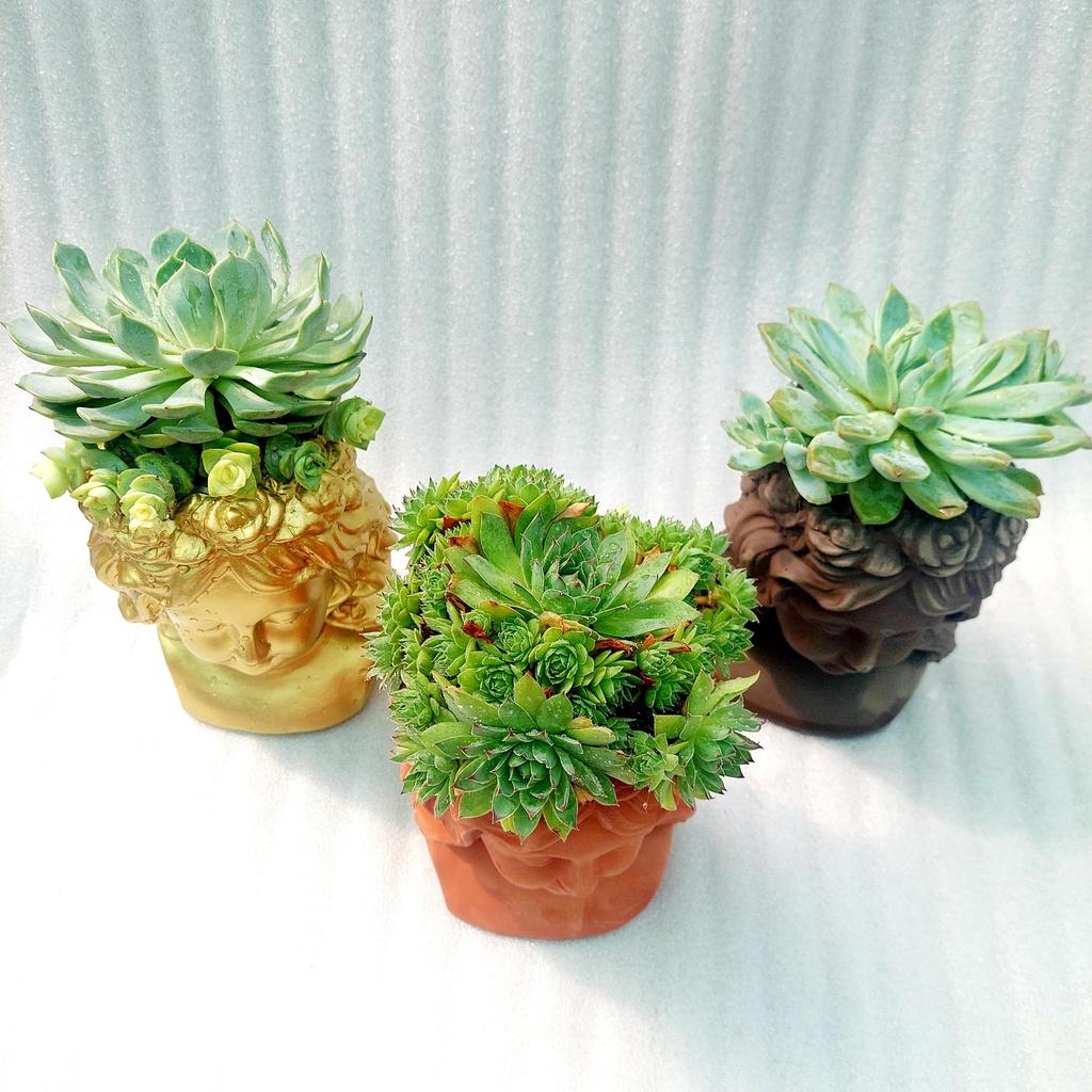 Chậu đất nung - Cô gái Ana, miệng chậu 10cm, chiều 20cm