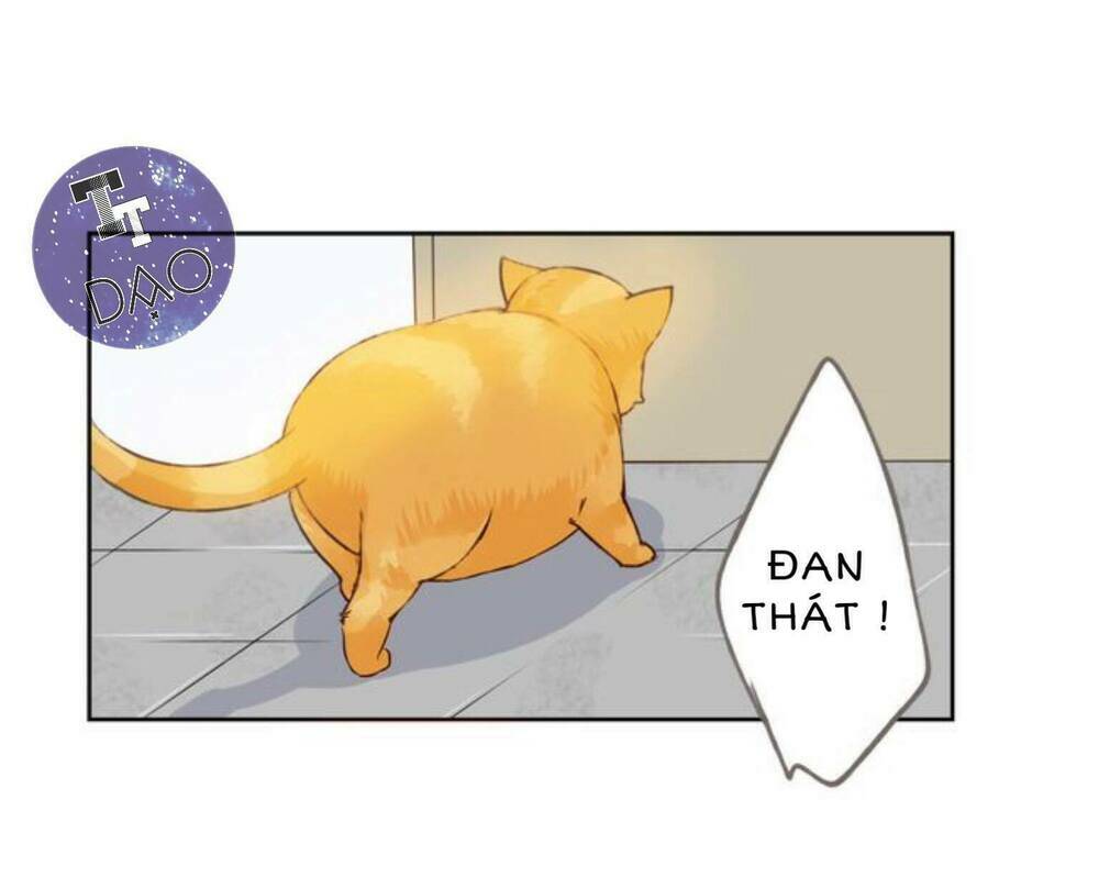 tôi không phải đa nhân cách chapter 11 37