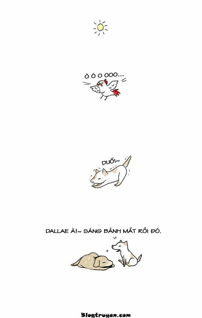 my kitty and old dog chapter 12 10