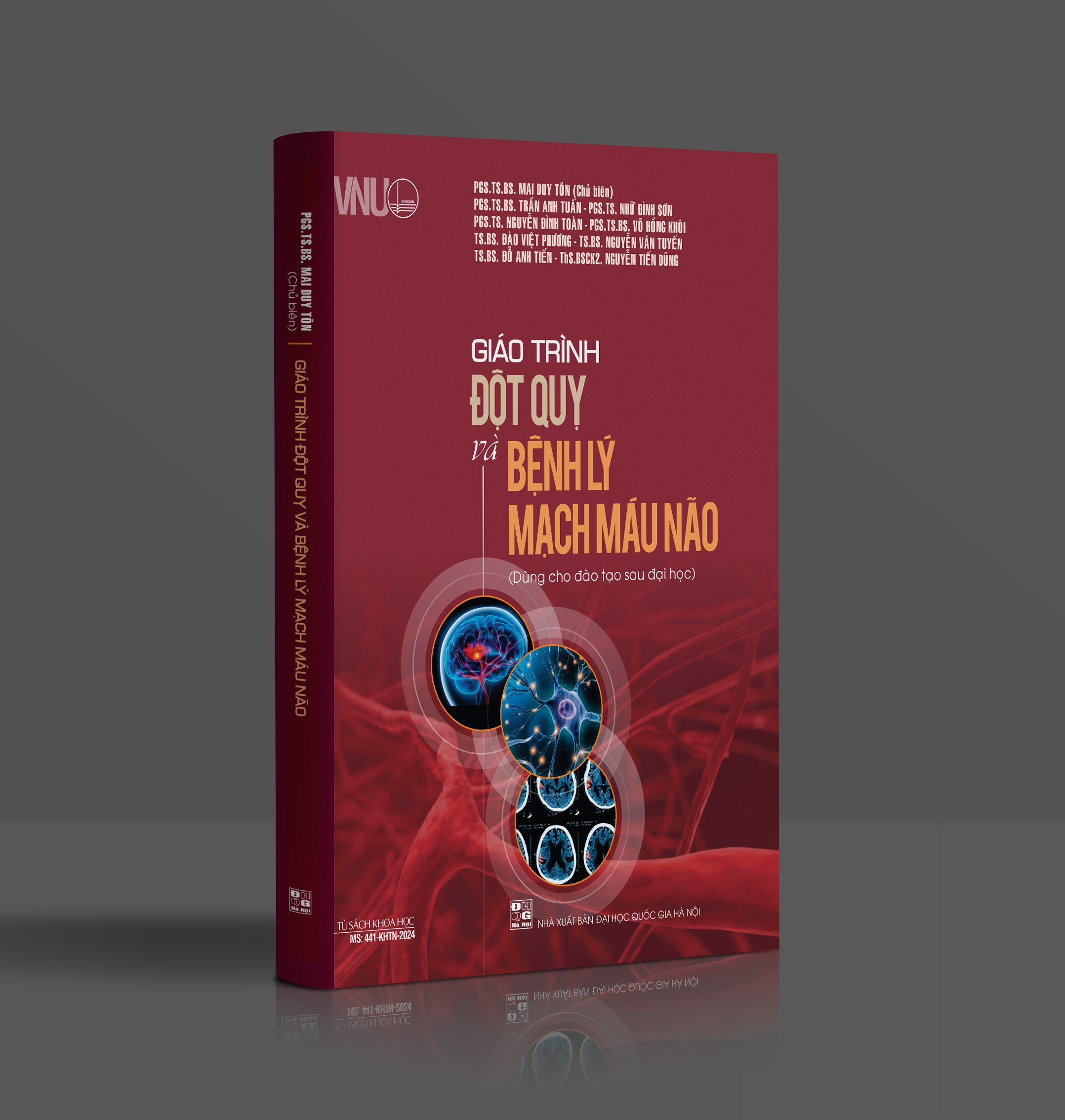 Giáo trình Đột quỵ và bệnh lý mạch máu não (Dùng cho đào tạo sau đại học)