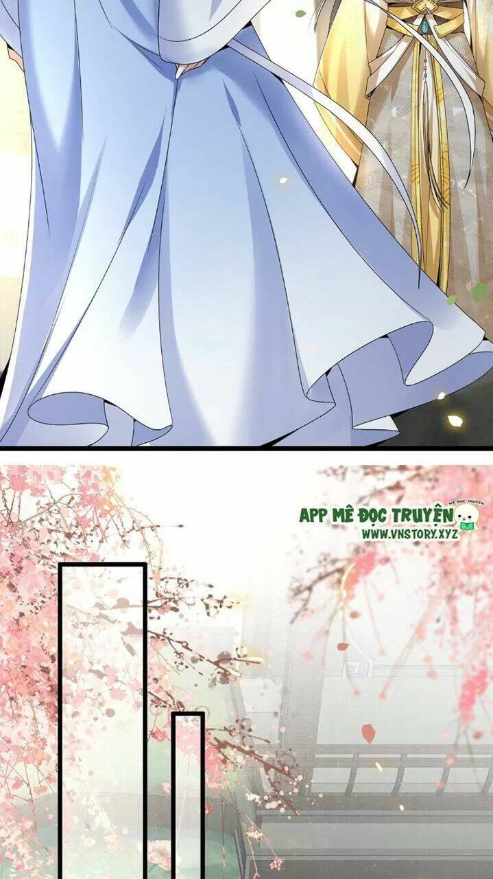 phượng hoàng vu phi chapter 46 12
