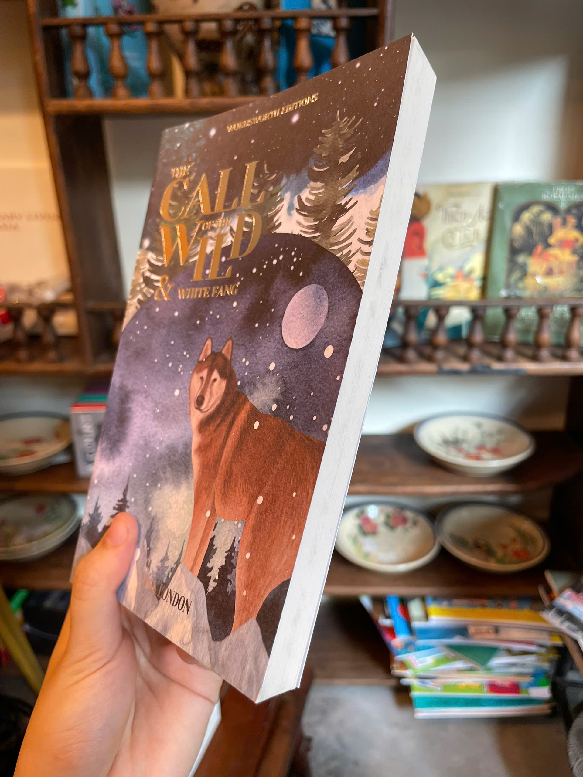 Sách - The Call of the Wild &amp; White Fang by Jack London | Classic Novel / Ngoại văn Kinh điển