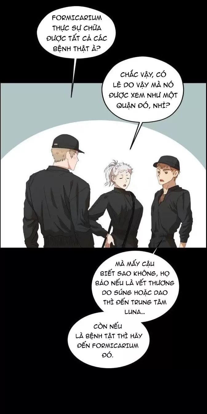 liveta chapter 30 40