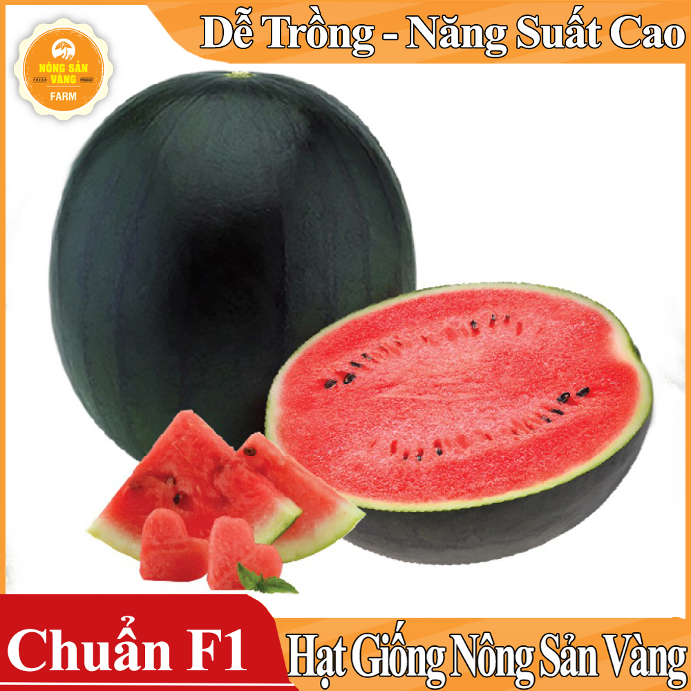 Hạt giống Dưa Hấu Hắc Mỹ Nhân - Nông Sản Vàng