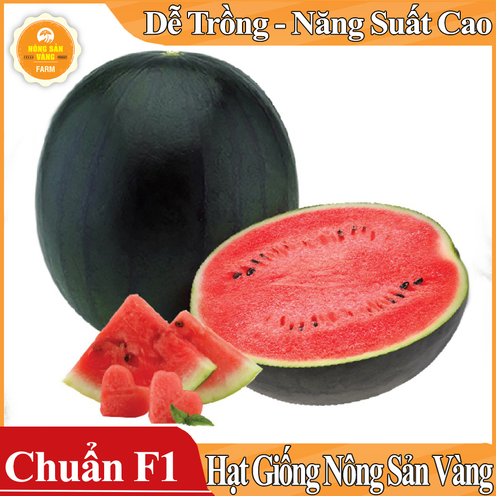 Hạt giống Dưa Hấu Hắc Mỹ Nhân ( Gói 10 Hạt ) - Nông Sản Vàng