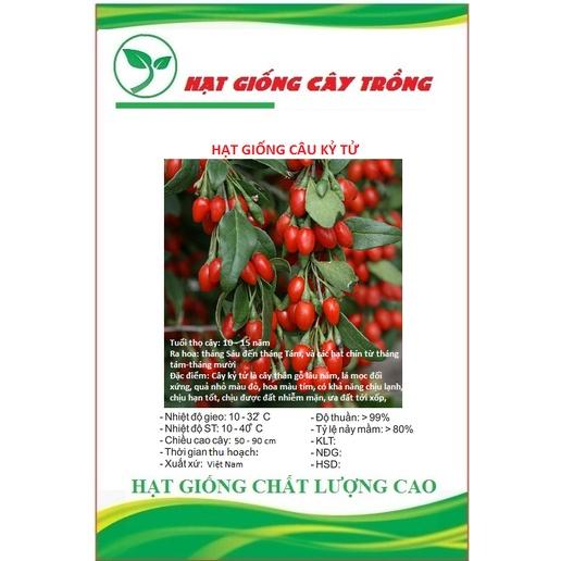 Hạt Giống Quả Câu Kỷ Tử - GojiBerry CT368 - Gói 10 hạt