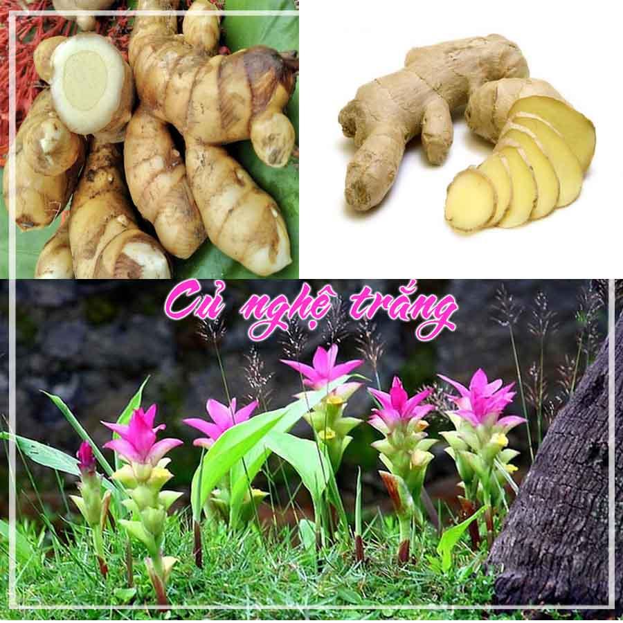 Củ Nghệ Trắng khô sắt lát 1kg