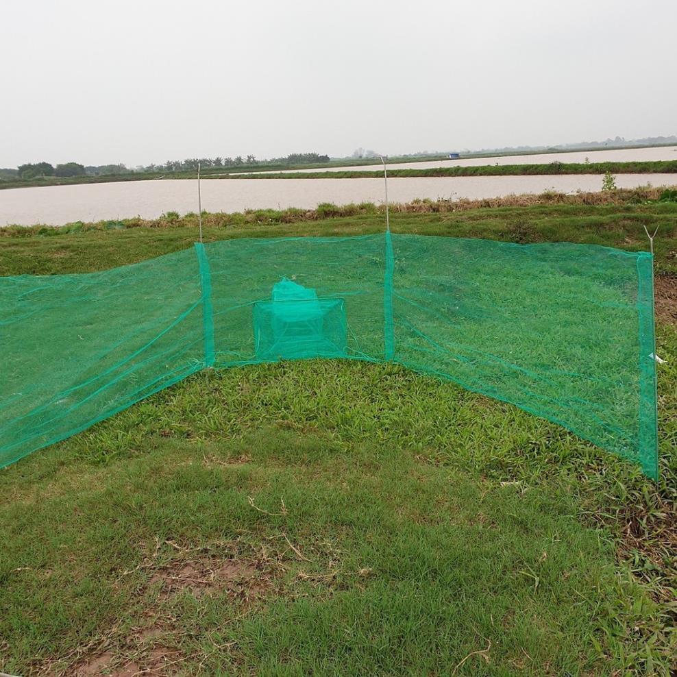 XẢ KHO Đăng chặn sông, cống - bắt tôm tép tất cả các loại cá - Dớn bắt cá, cua, lươn - Top1VN