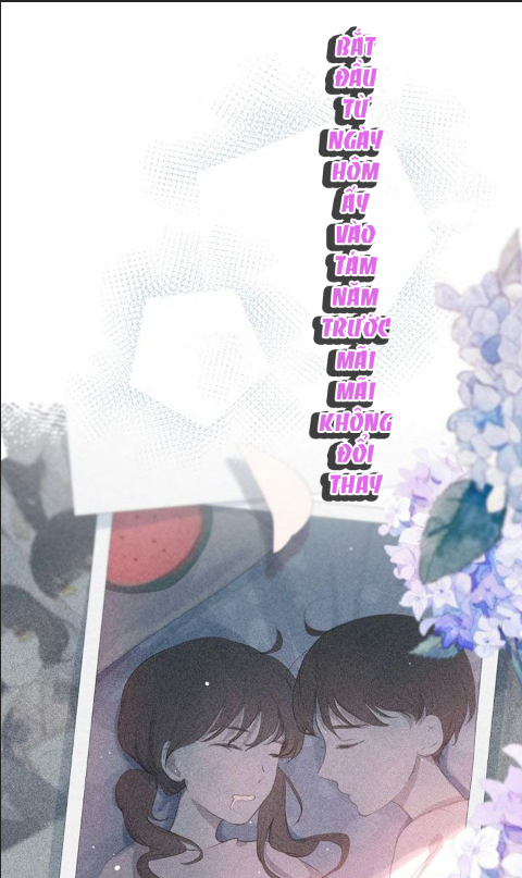 nỗi buồn của hoa cẩm tú cầu chapter 29 23