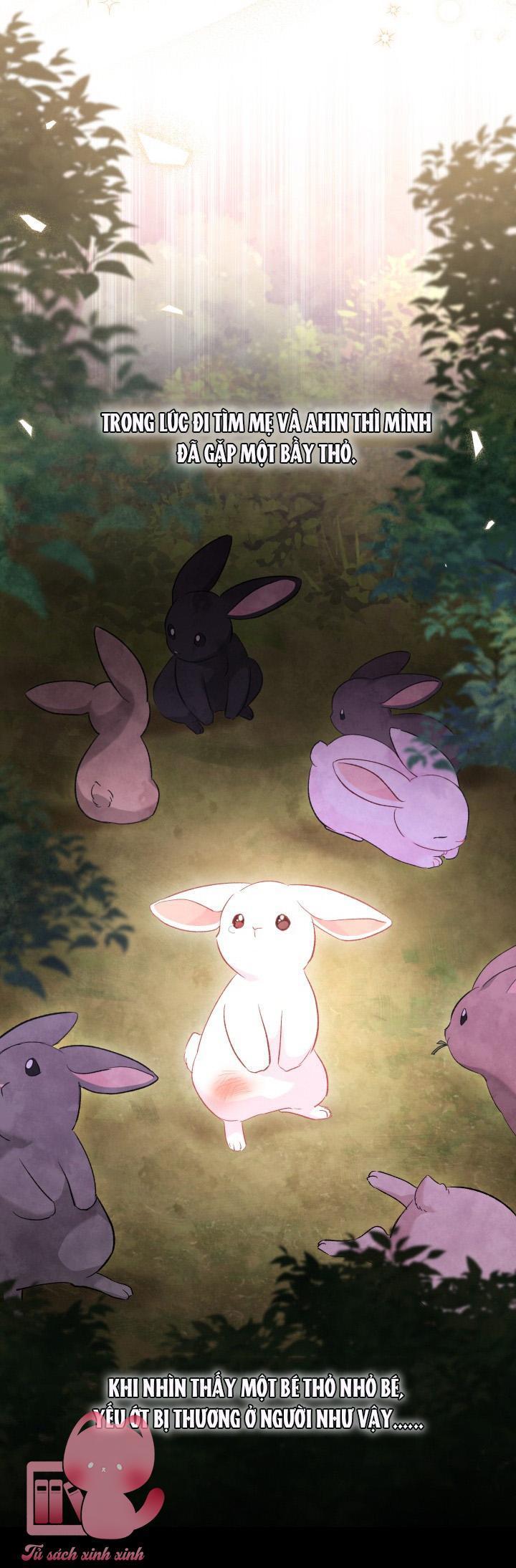 quan hệ cộng sinh giữa báo đen và thỏ trắng chapter 82 3