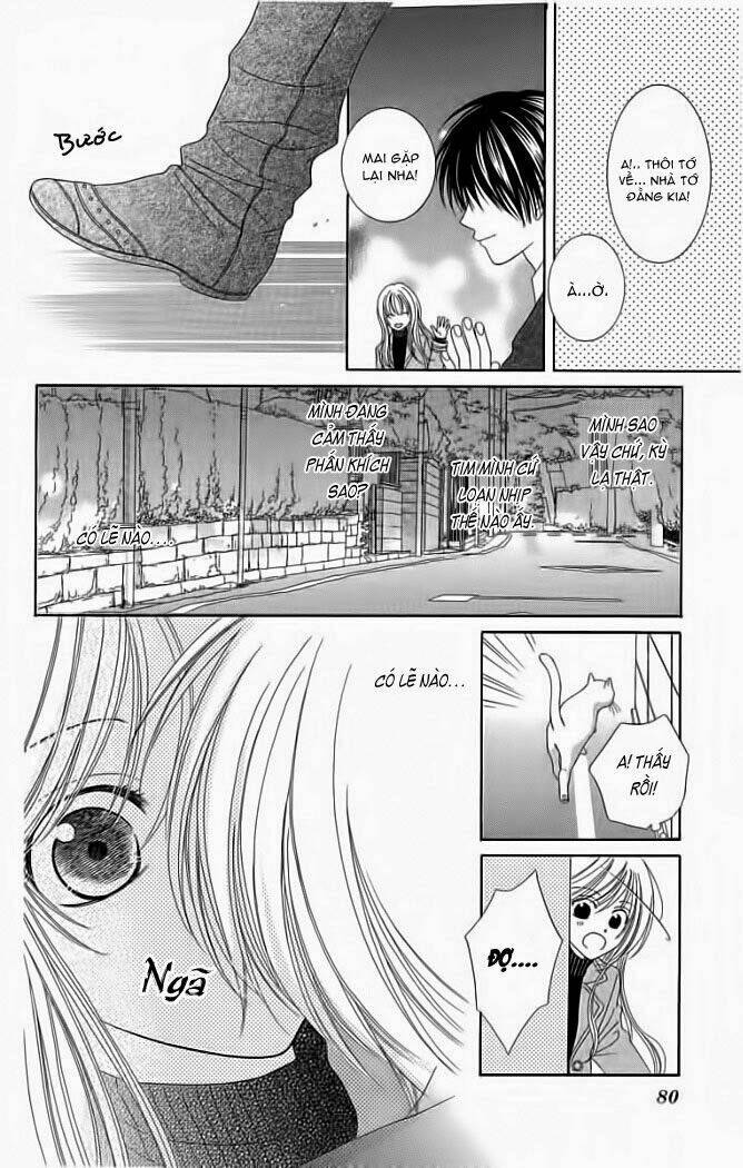 my dear cat chapter 1 8