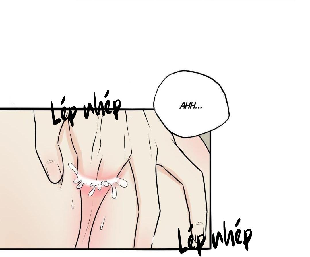 hạnh phúc trọn vẹn chapter 22 4