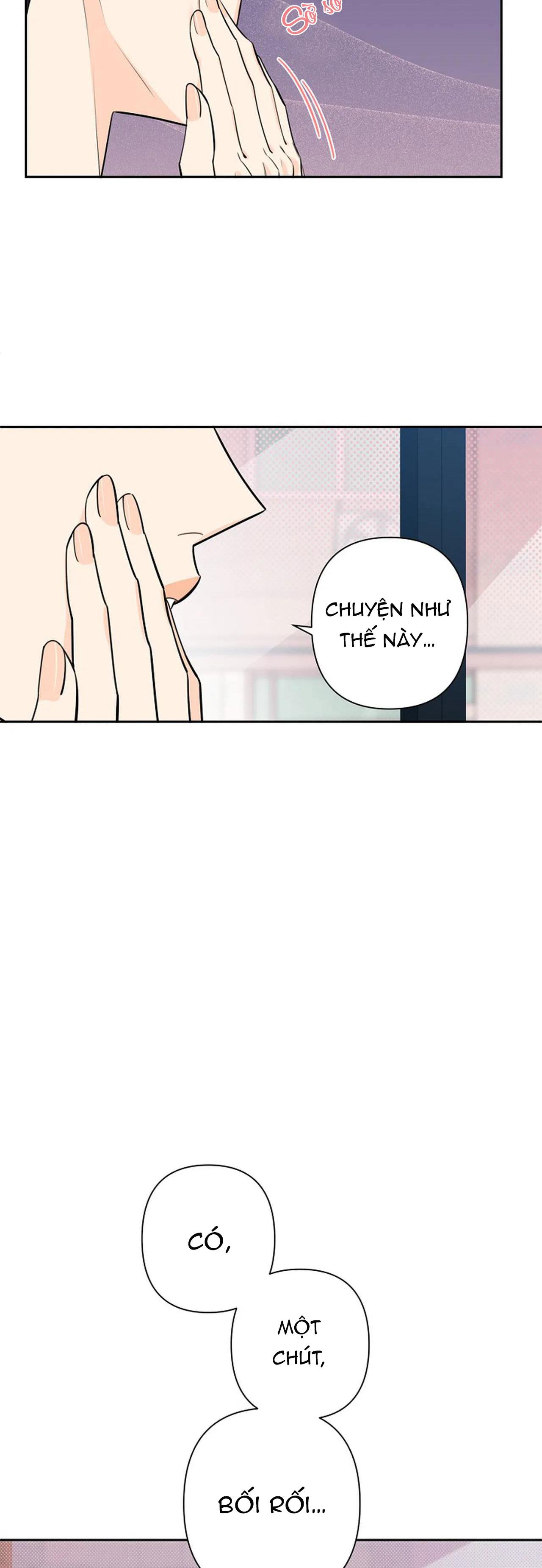 đêm dịu dàng chapter 32 32