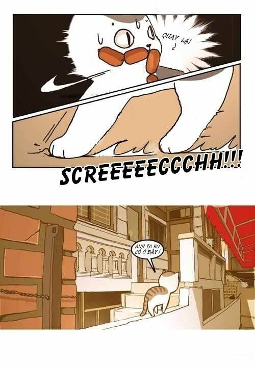 papi nyang chapter 3 5