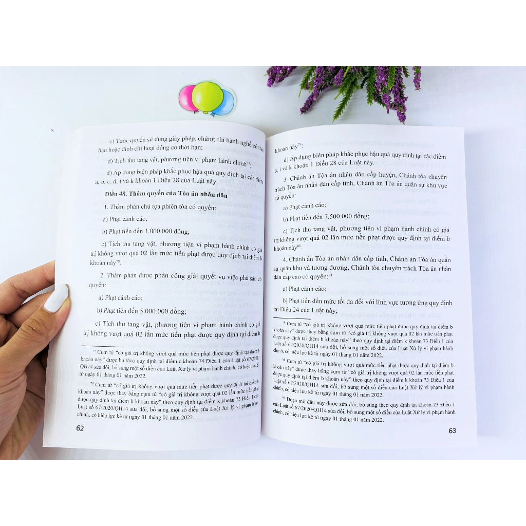 Sách - Luật Xử Lý Vi Phạm Hành Chính - ndbooks