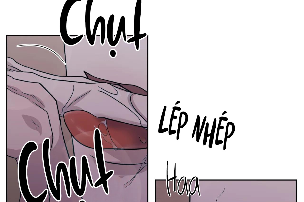 ám ảnh pheromone chapter 60 63