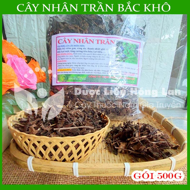 500g Cây Nhân Trần bắc khô sạch loại 1