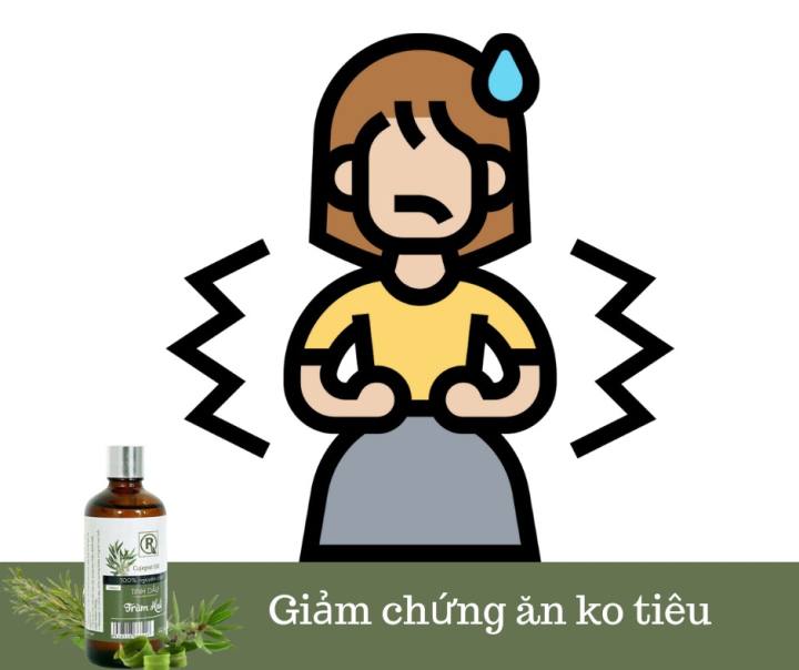 Tinh dầu tràm Huế 100% nguyên chất loại 1 HỒNG TÂM 100ml