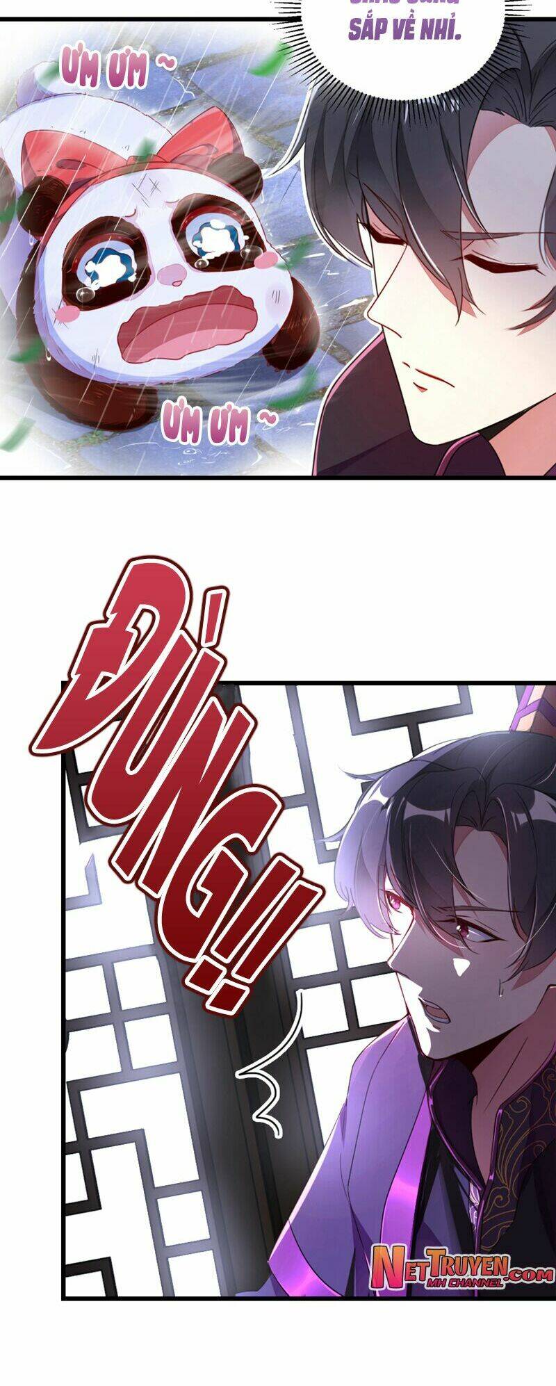 thiên thần gấu trúc muốn được ôm chapter 26 7