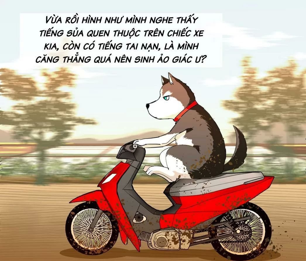 một con chó chapter 64 1