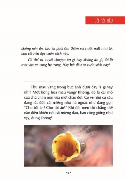 Ăn Được Hay Đừng Ăn - Kỹ Năng Sống Cho Học Sinh