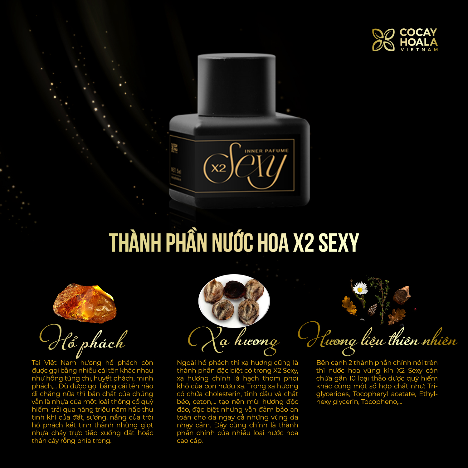 Nước hoa vùng kín X2 Sexy Cocayhoala 5ml khử mùi hôi, làm thơm ,hồng và se khít vùng kín- hương hổ phách, xạ hương Hương thơm dịu nhẹ, quyến rũ, thành phần thiên nhiên, an toàn, lành tính