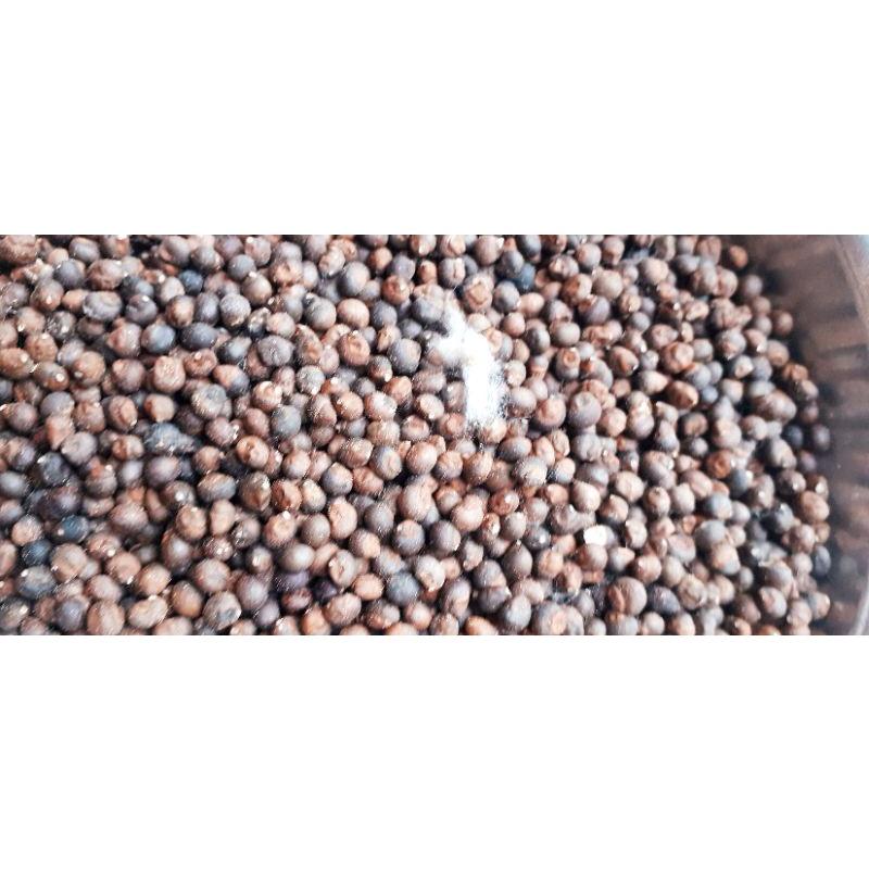 100gram hạt bông gòn giống