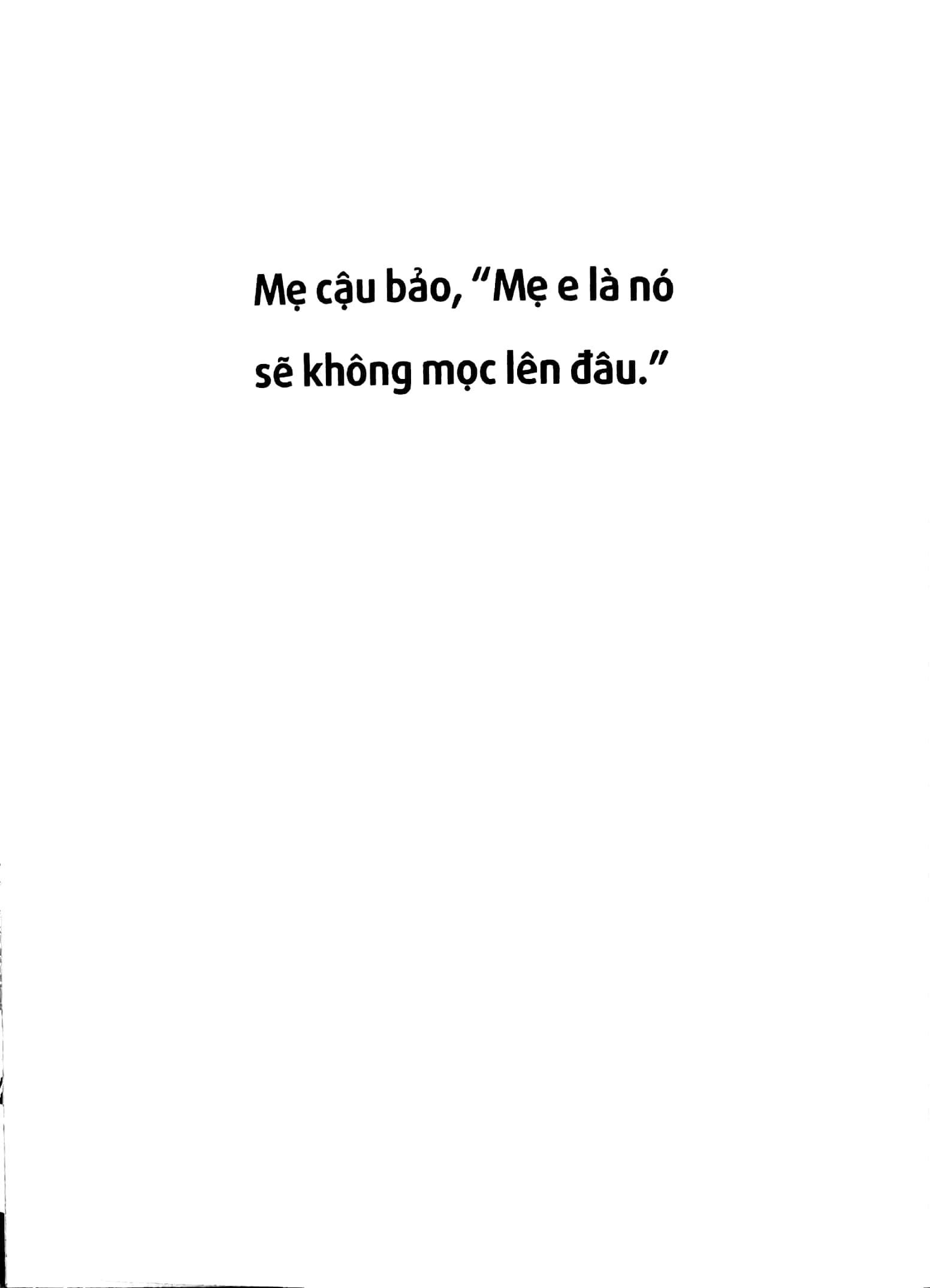 Hạt Giống Cà Rốt