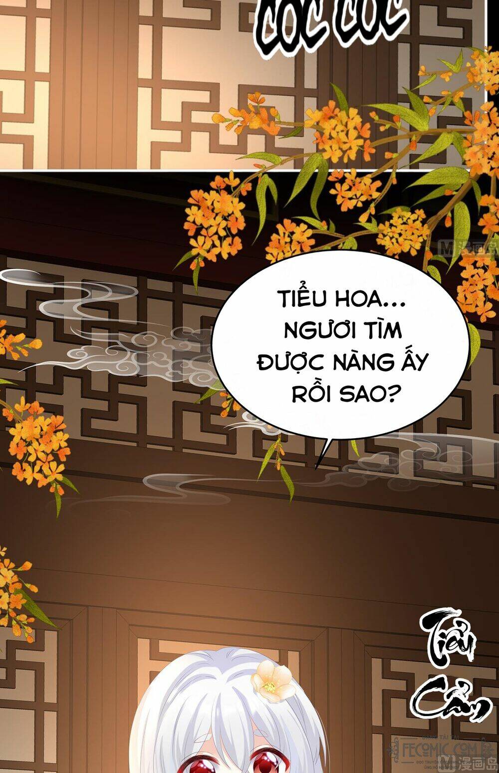 kiều phu có hỉ chapter 66 23