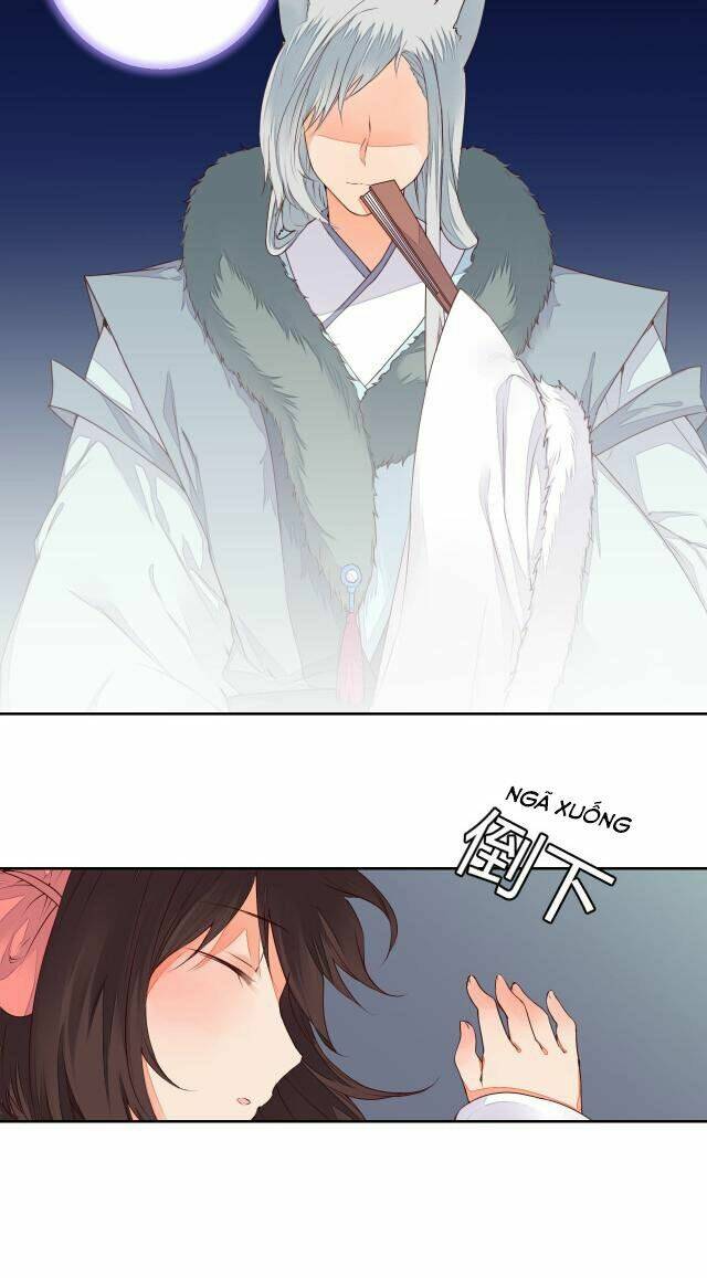 đốt đào hoa chapter 32.3 95