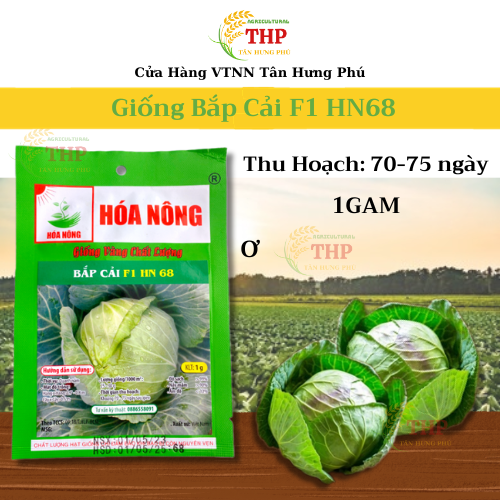 Hạt Giống Bắp Cải F1 HN68 | Hạt Giống | Gói 1Gram