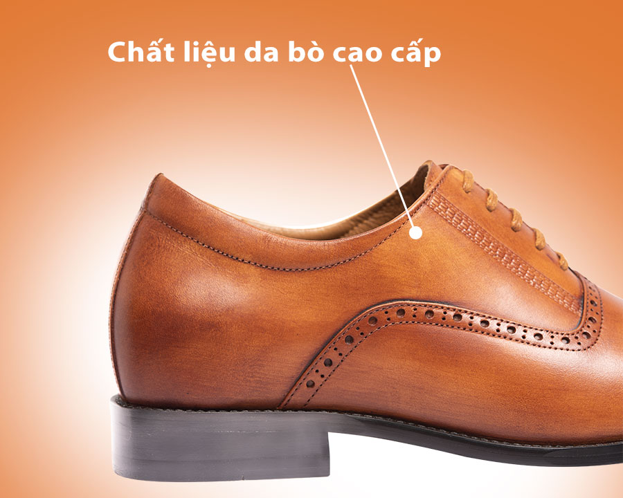 Giày Cao Nam T&TRA A210NB