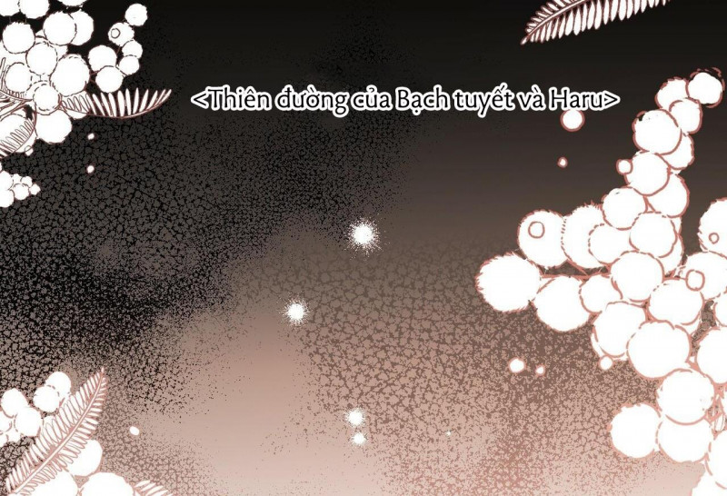 những chú thỏ của hapypy chapter 32.5 56