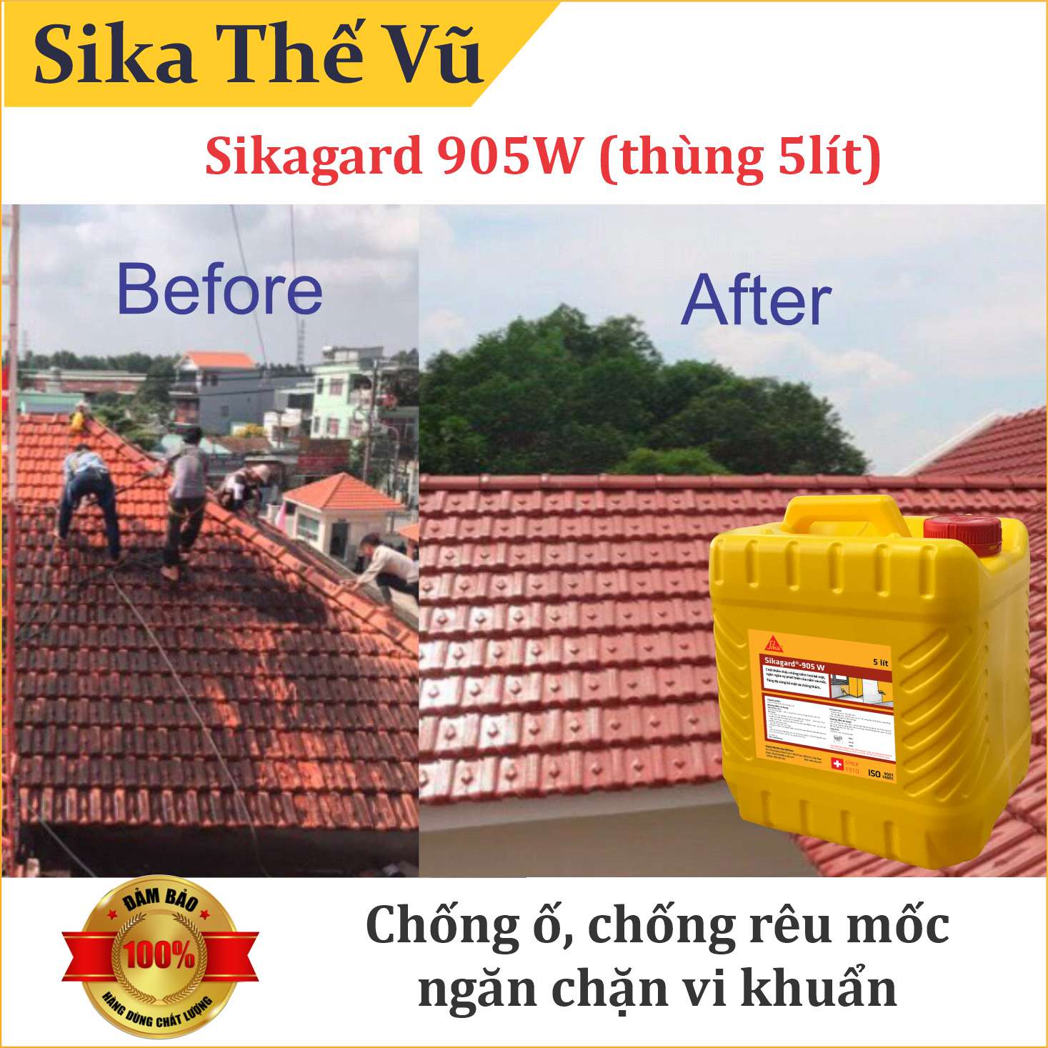 Chống ố, rêu mốc thẩm thấu không màu - Sikagard 905W (thùng 5lít)