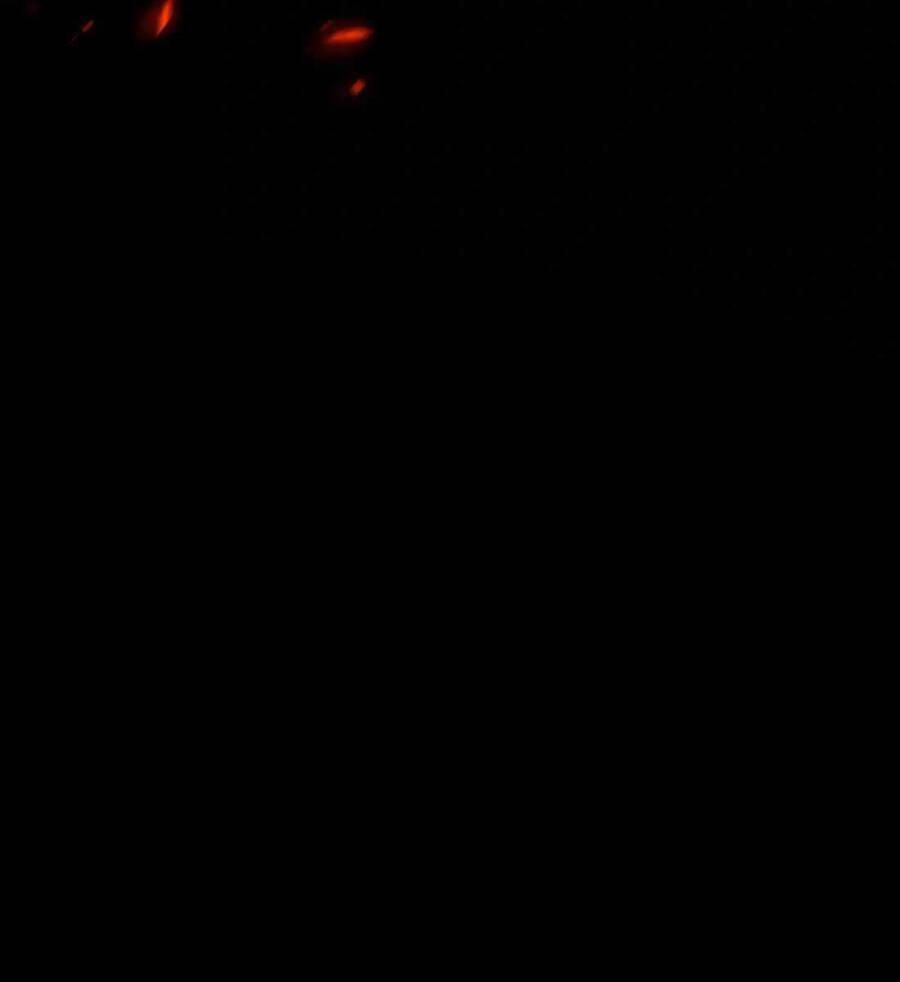 99 thủ lĩnh chapter 3.5 117