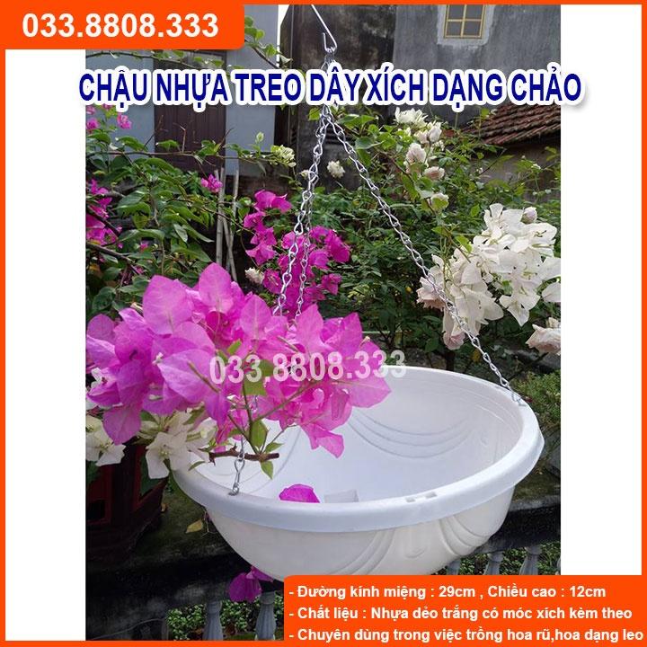 Combo 3 Chậu Chảo Nhựa Trắng 29x12 - Chậu Trồng Hoa Rủ