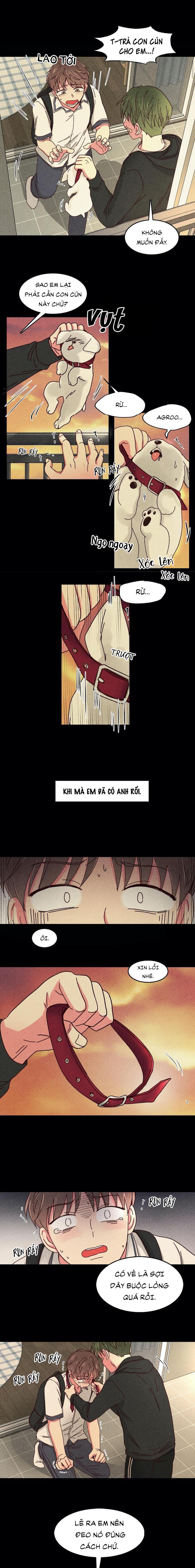 món tráng miệng của sếp tổng chapter 28 3