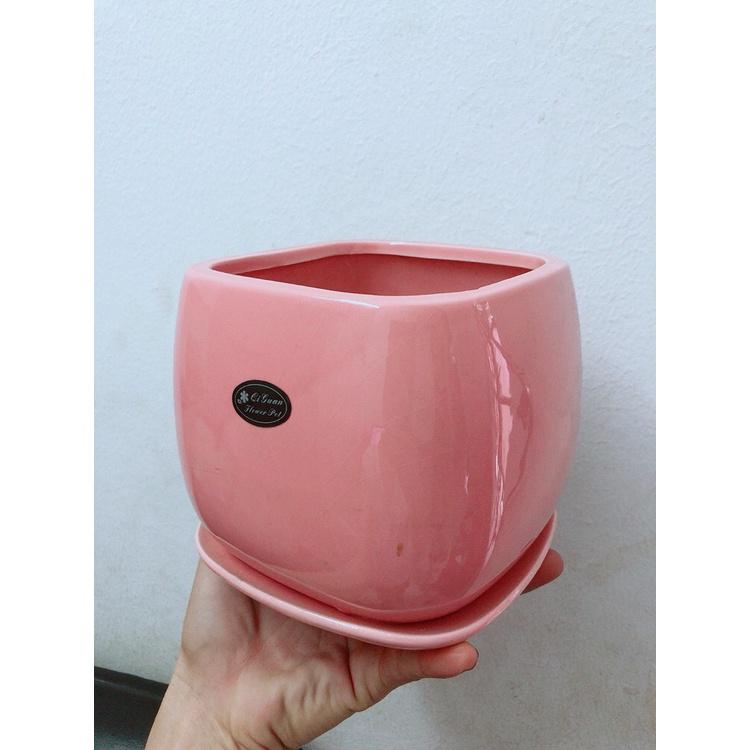 Chậu Trồng Cây