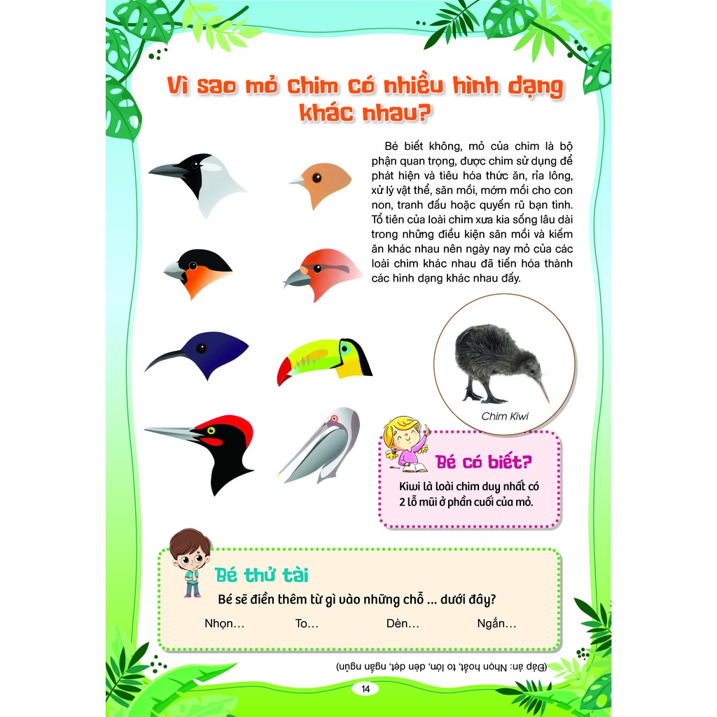 Trọn Bộ 10 vạn câu Hỏi Vì sao - Em Muốn Biết Tại sao