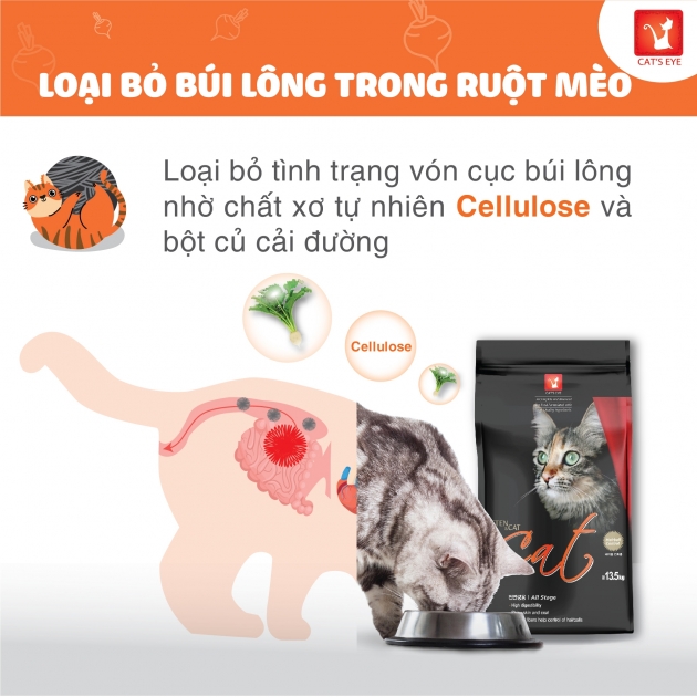 - Thức ăn hạt cho mèo mọi lứa tuổi Tuổi Cat's eye nhập khẩu Hàn Quốc