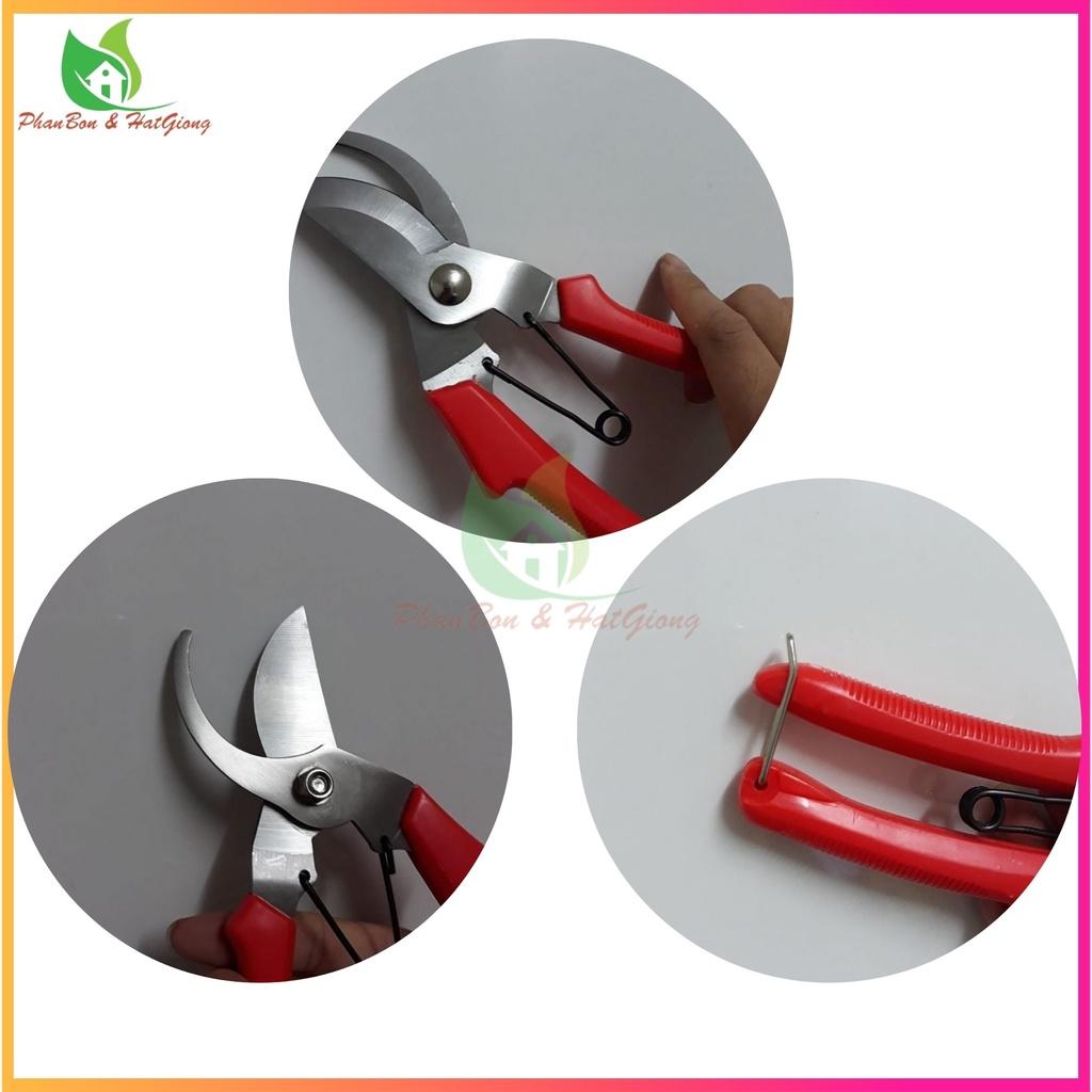 Kéo Cắt Tỉa Cành Cây, Kìm Tỉa Cây , Kéo Cộng Lực Cắt Cành SK-1 Nhập Khẩu, Kéo Cắt Tỉa Bonsai - Shop Phân Bón và Hạt Giống