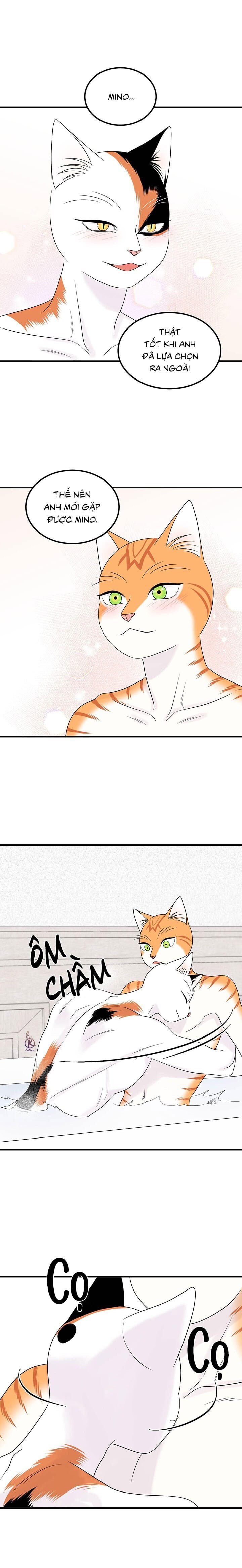 dự án xanh chapter 38 7