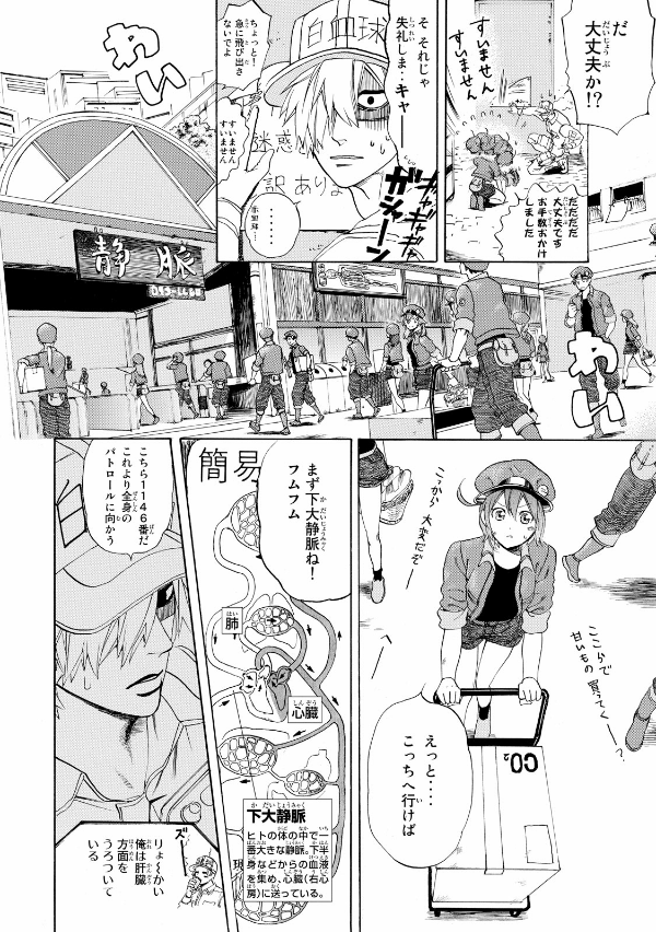 Hataraku Saibo - Cells At Work!! 3 (Japanese Edition)