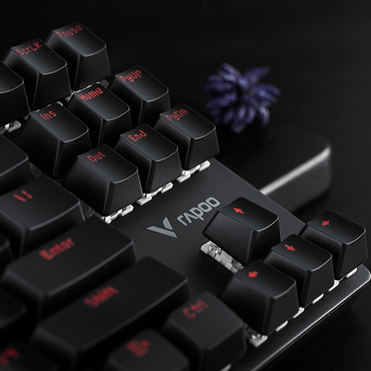 Bàn Phím Cơ Có Dây Gaming Rapoo V500 Alloy - Hàng Chính Hãng
