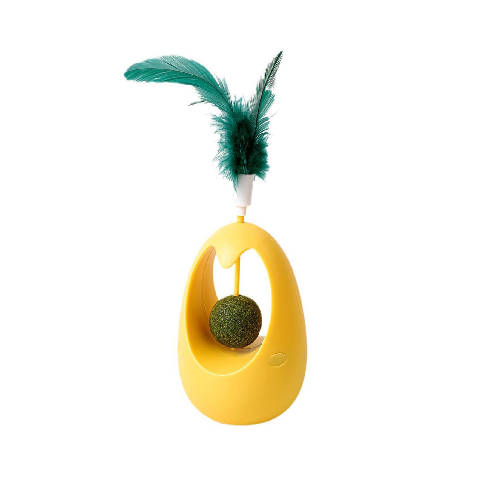 Interactive Cat Toys Pet Toy with Catnip Balls for Cats and Kitten Training