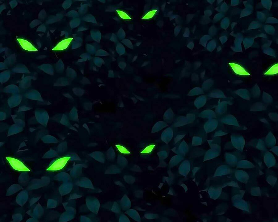 dưỡng thiếu chủ đấu tra nam chapter 49 15