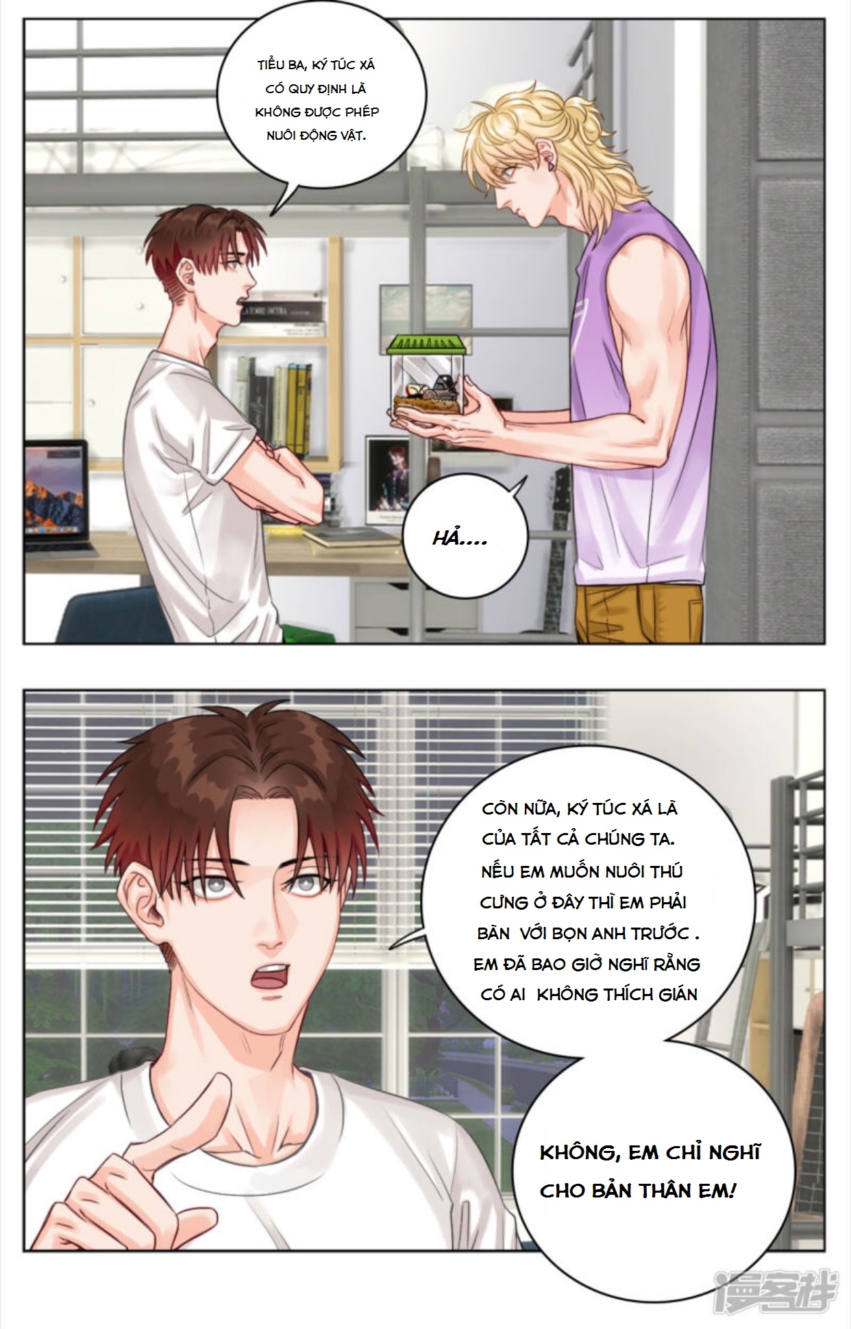 ký túc xá nam phòng 303 chapter 5 3