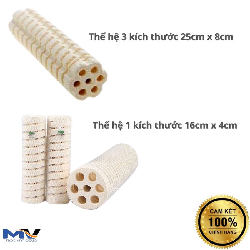 Sứ củ sen, sứ mountain tree thế hệ 1 / thế hệ 3 lọc nước cho hồ cá